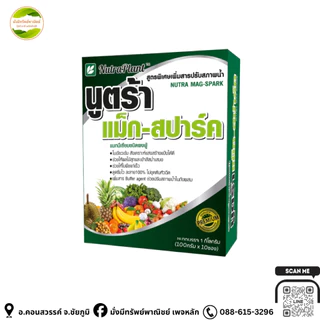 นูตร้าแม็ก-สปาร์ค (กล่อง 100กรัม*10ซอง) แม็กนีเซียมเข้มข้น ช่วยทำให้ใบเขียวสังเคราะห์แสงได้ดี เร่งทำใบแก่เพื่อสะสมอาหาร