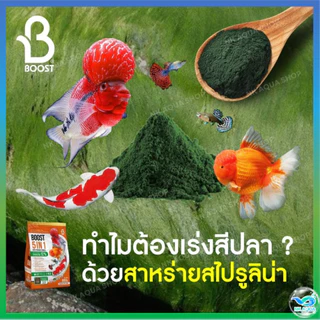 ใหม่‼️อาหารปลาสวยงาม ปลาทอง ปลาคาร์ฟ บูสท์ (Boost 5in1) 5 คุณประโยชน์ ครบจบในถุงเดียว ขนาด 800 กรัม