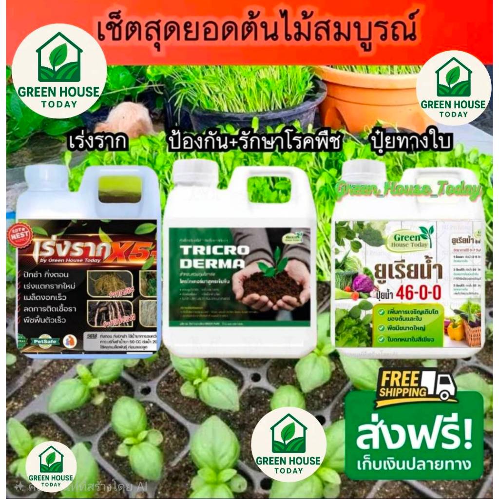 เร่งราก+ไตรโคเดอร์มา+ปุ๋ยยูเรียน้ำ46-0-0 เซ็ตสุดยอด  ต้นไม้สมบูรณ์  3 แกลอน