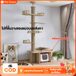 แร็คปีนแมวตลก แบบมาใหม่ 260- 265cm รุ่นเสาPVCเจ้าเดียวในไท  …
