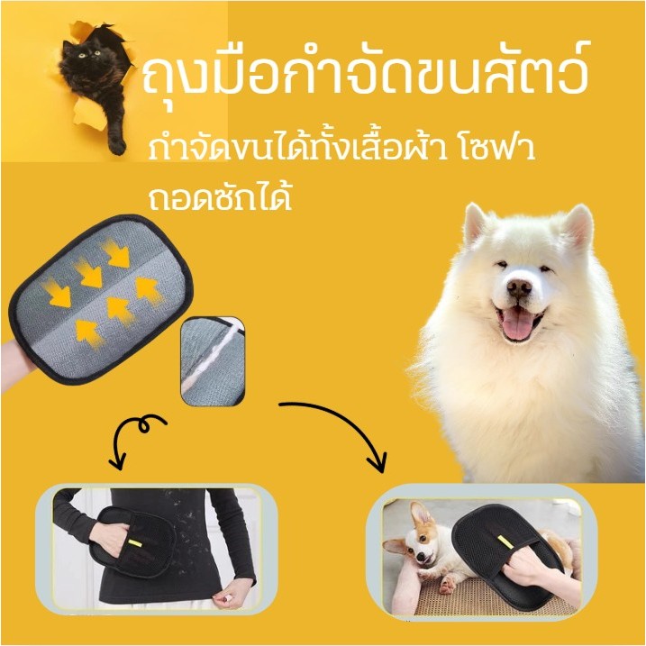 ถุงมือกําจัดสําหรับสัตว์เลี้ยงขนแปรงสองทาง🐺แปรงกําจัดขน