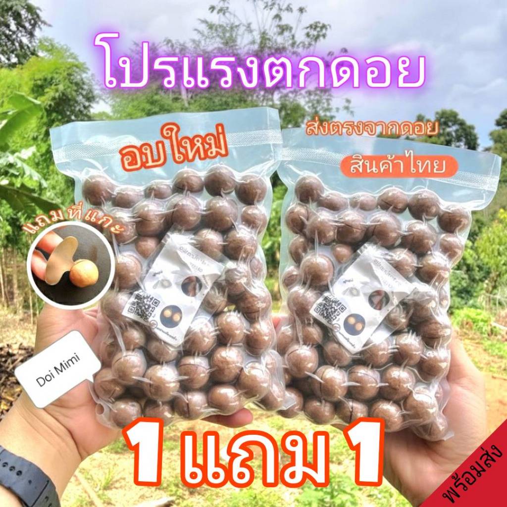 (1แถม1)แมคคาเดเมีย ไทยแท้ อบพร้อมทาน macadamia อย่างดี รวม 1 กก.(กะลา)