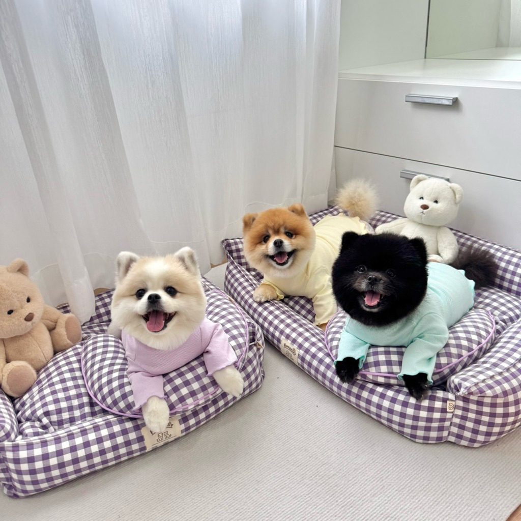 Candy Plaid Sofa Bed ที่นอนสัตว์เลี้ยง