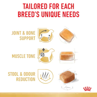 [ล็อตใหม่ exp 08/2027] Royal Canin Dachshund Adult อาหารสุนัข โรยัล คานิน สุนัขโต สายพันธุ์ ดัชชุน บำรุงกระดูก 1.5 kg