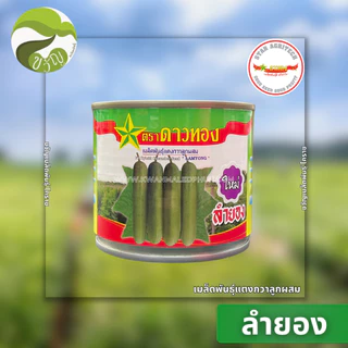 เมล็ดพันธุ์ แตงกวา ลูกผสม แตงกวา ลำยอง ตราดาวทอง ล็อตใหม่