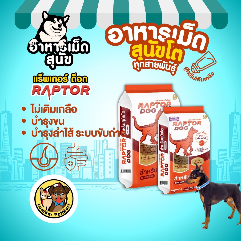 รูปภาพ 3