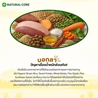 Natural Core ECO 4 Slim Down Duck อาหารสุนัข เกรดออร์แกนิก สูตรเนื้อเป็ดไขมันต่ำ นำเข้าจากเกาหลี🇰🇷