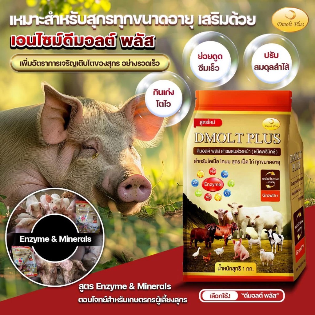 ดีมอลต์พลัส อาหารเสริมสุกร เป็ด ไก่ วัว (5 ถุง) - รูปที่ 4