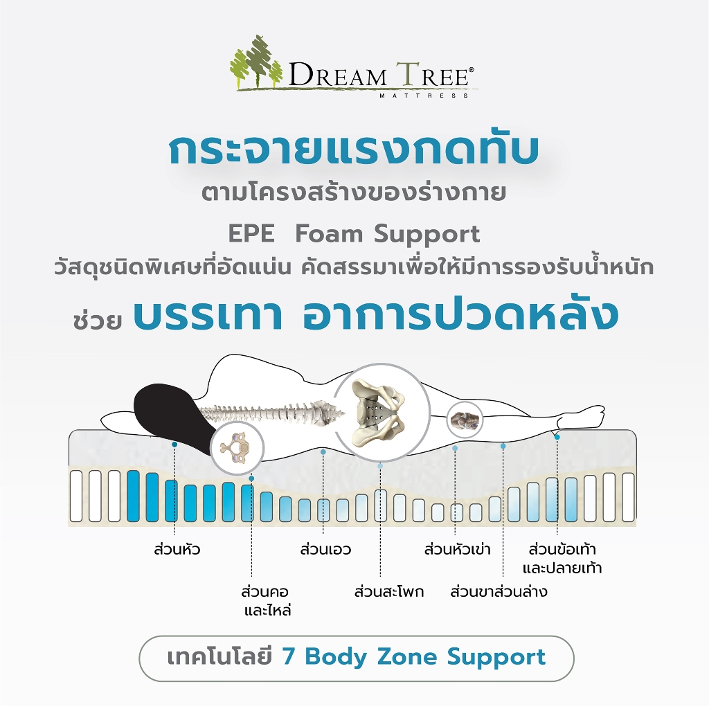 Dream Tree ที่นอนรุ่