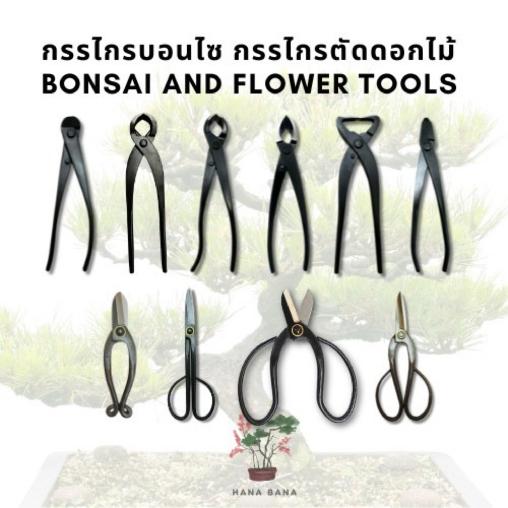 Bonsai Branch Cutter Concave cutter wire cutter kanishin bonsai คีมฉีก คีมปากนกแก้ว คีมปากท้องเรือ คีมบอนไซ กรรไกรบอนไซ