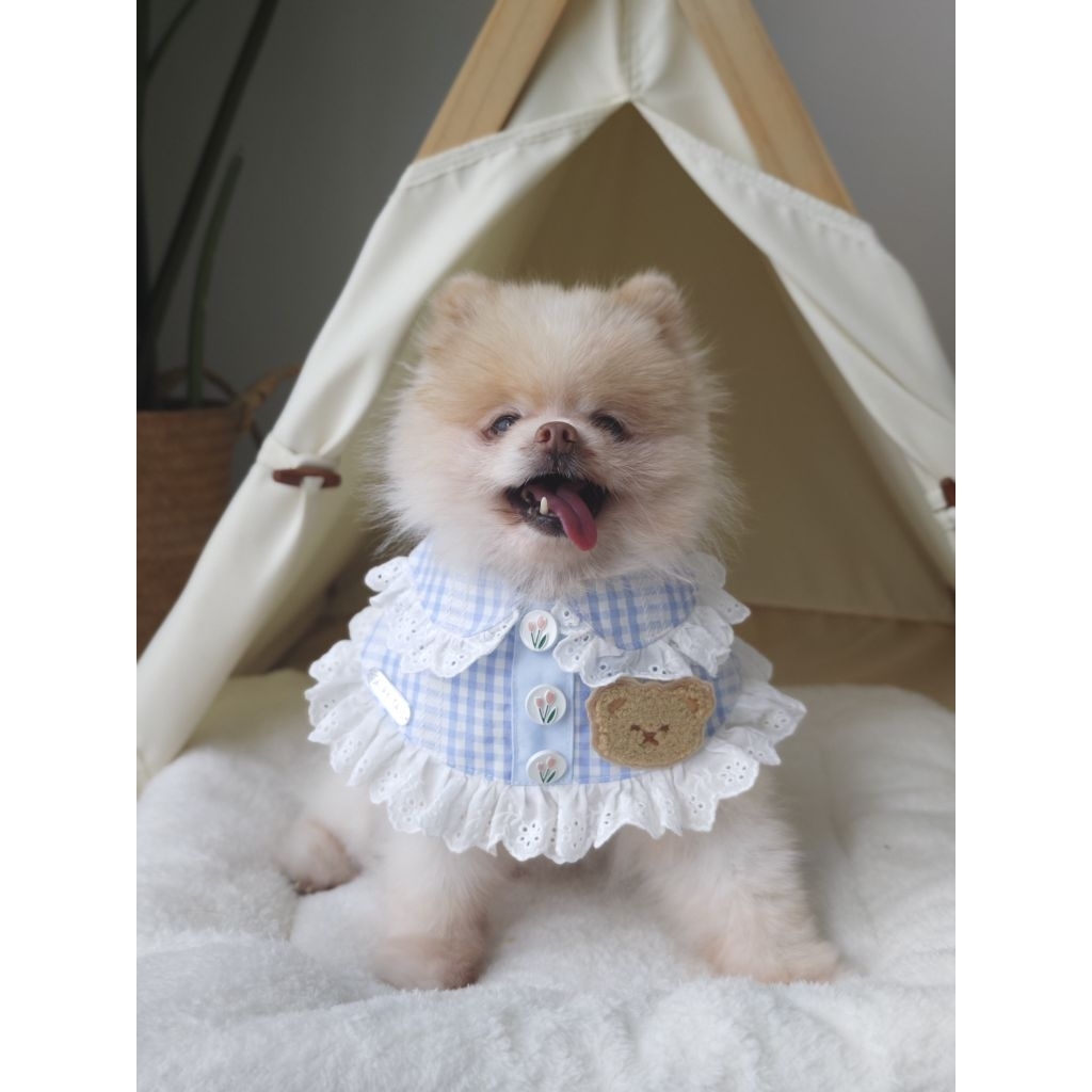 Fairy Tail | Pajamas Collar ผ้าคลุมชุดนอนหมาแมว