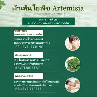 หมอนสุขภาพกันไรฝุ่น ป้องกันแบคทีเรีย+เนื้อนุ่มพิเศษ รองรับคอ-ลดปวดเมื่อย เพิ่มสารสกัด วอร์มวูด ด้านเดียวช่วยรองรับ