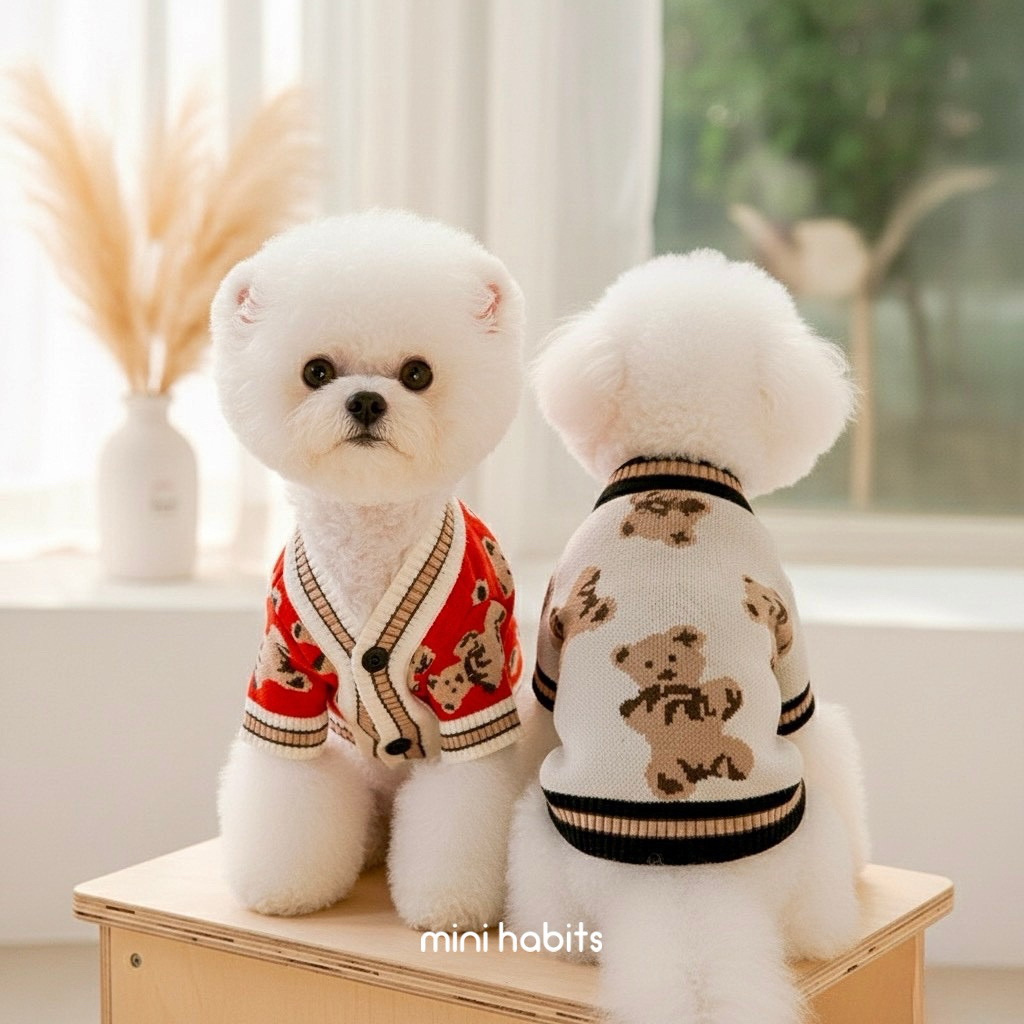 [🚚 พร้อมส่ง] เสื้อไหมพรม ลายหมีเท็ดดี้ Bjorn Sweater เสื้อผ้าสัตว์เลี้ยง ชุดแมว - รูปที่ 2