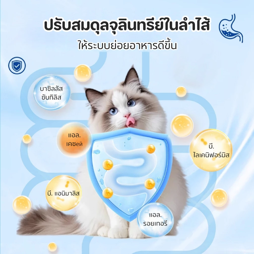PET LIFE โพรไบโอติกส์สำหรับสุนัข ขนมสุนัข ขนมสุนัขช่วยระบบการย่อยอาหาร สุขภาพทางเดินอาหาร thumbnail 8