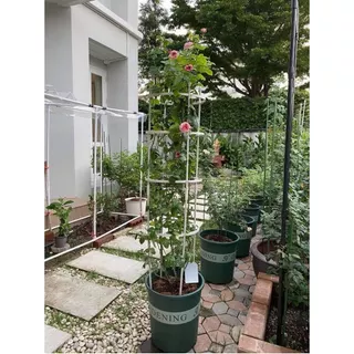 🌹 ซุ้มไม้เลื้อย กุหลาบ 4 ขนาด 🌿 โครงเหล็กดัด เคลือบ PE กันสนิม ใช้ในกระถางได้ ซุ้มปลูกไม้เลื้อย ระแนงตกแต่งสวน