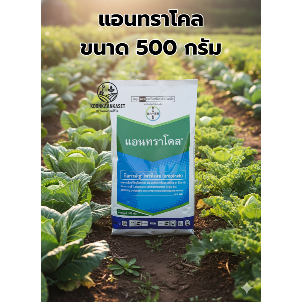 แอนทราโคล® (Antracol®) ขนาด 500 กรัม (ผลิต 2024/08/13) จำนวน 1 ชิ้น