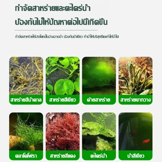 แบบเข้มข้น จุลินทรีบ่อปลา350ml กำจัดตะไคร่น้ำเขียว ตู้ปลาและบ่อปลา ทำให้น้ำบริสุทธิ์อย่างรวดเร็ว12ชม จุลินทรีย์ปรับสภาพน