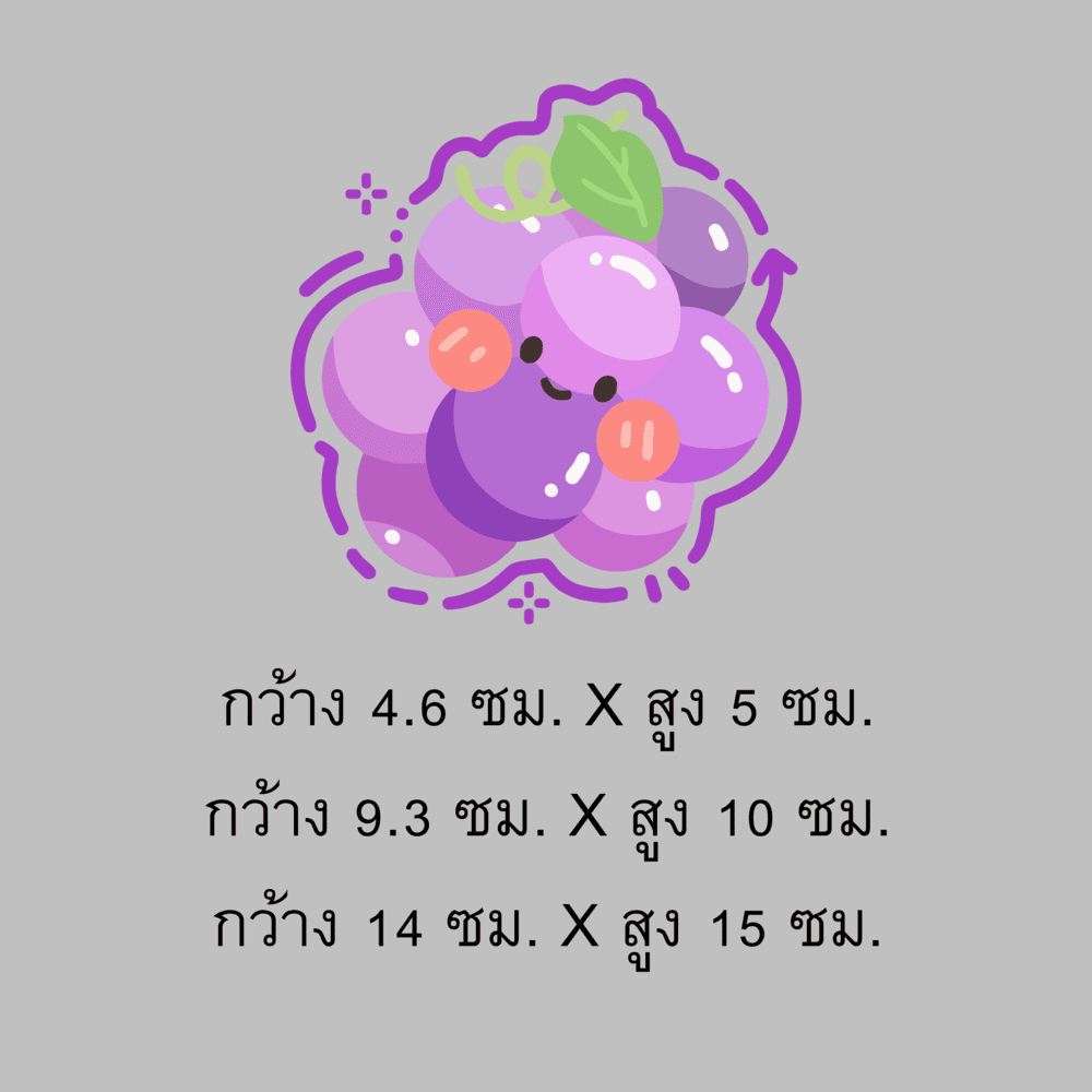 ตัวรีดร้อนติดเสื้อ ลายผลไม้ ลายการ์ตูน น่ารัก ติดได้ทุกเนื้อผ้า ใช้งานง่าย ติดทนนาน ราคา ถูกที่สุด ดีลบีเคเค แกลเลอรีภาพที่ 9