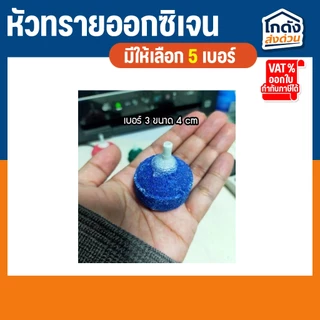 หัวทราย หัวออกซิเจน เพิ่มออกซิเจนในตู้ปลา (1 ลูก)