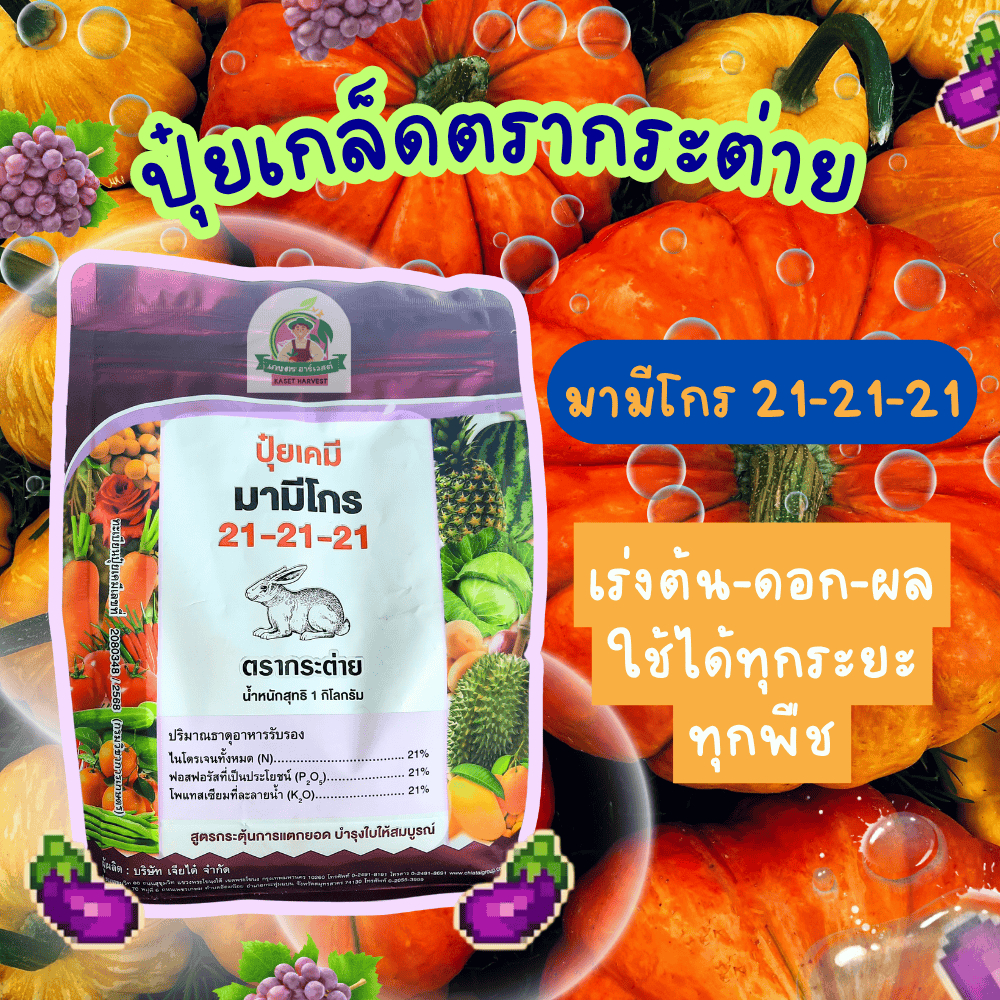 ปุ๋ยเกร็ด 21-21-21 มามีโกร ตรากระต่าย ปุ๋ยเร่งต้น ดอก ผล ใช้ได้กับพืชทุกชนิด