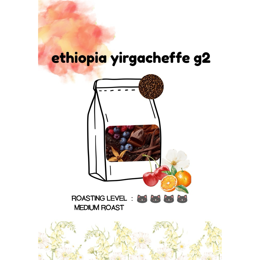 ethiopia yirgacheffe g2