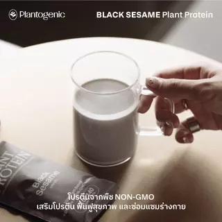 Plantogenic - Black Sesame Plant Protein โปรตีนพืชรสงาดำ โปรตีน 21g NON-GMO หอมงา ดื่มง่าย ไม่เติมน้ำตาล (Plant-Based)