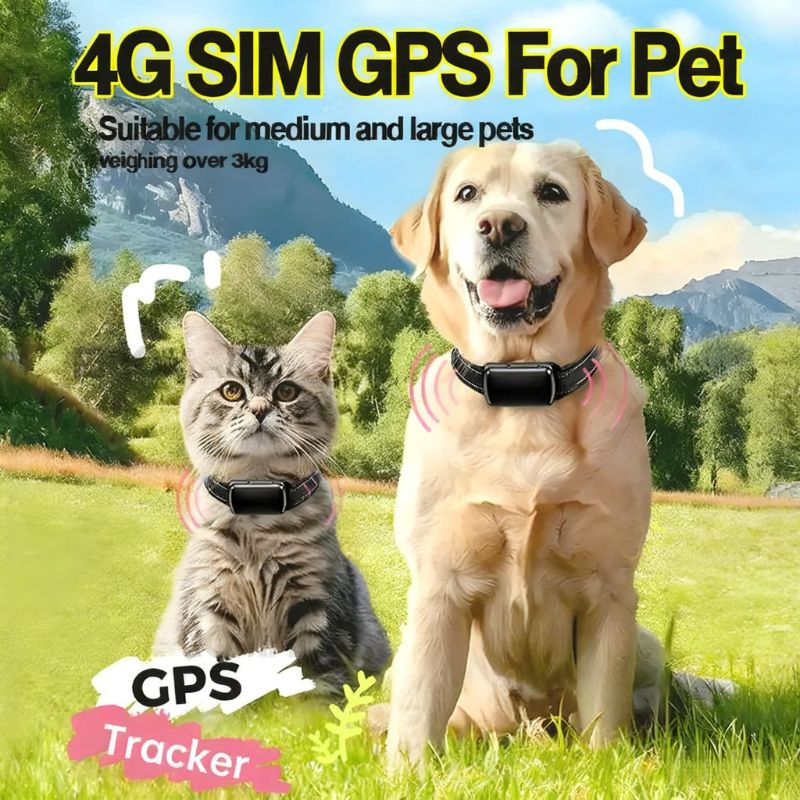 4G GPS ปลอกคอ เครื่องติดตาม สัตว์เลี้ยง gpe pet tracker อุปกรณ์ติดตามสุนัขแมวลูกสุนัขปลอกคอสุนัข