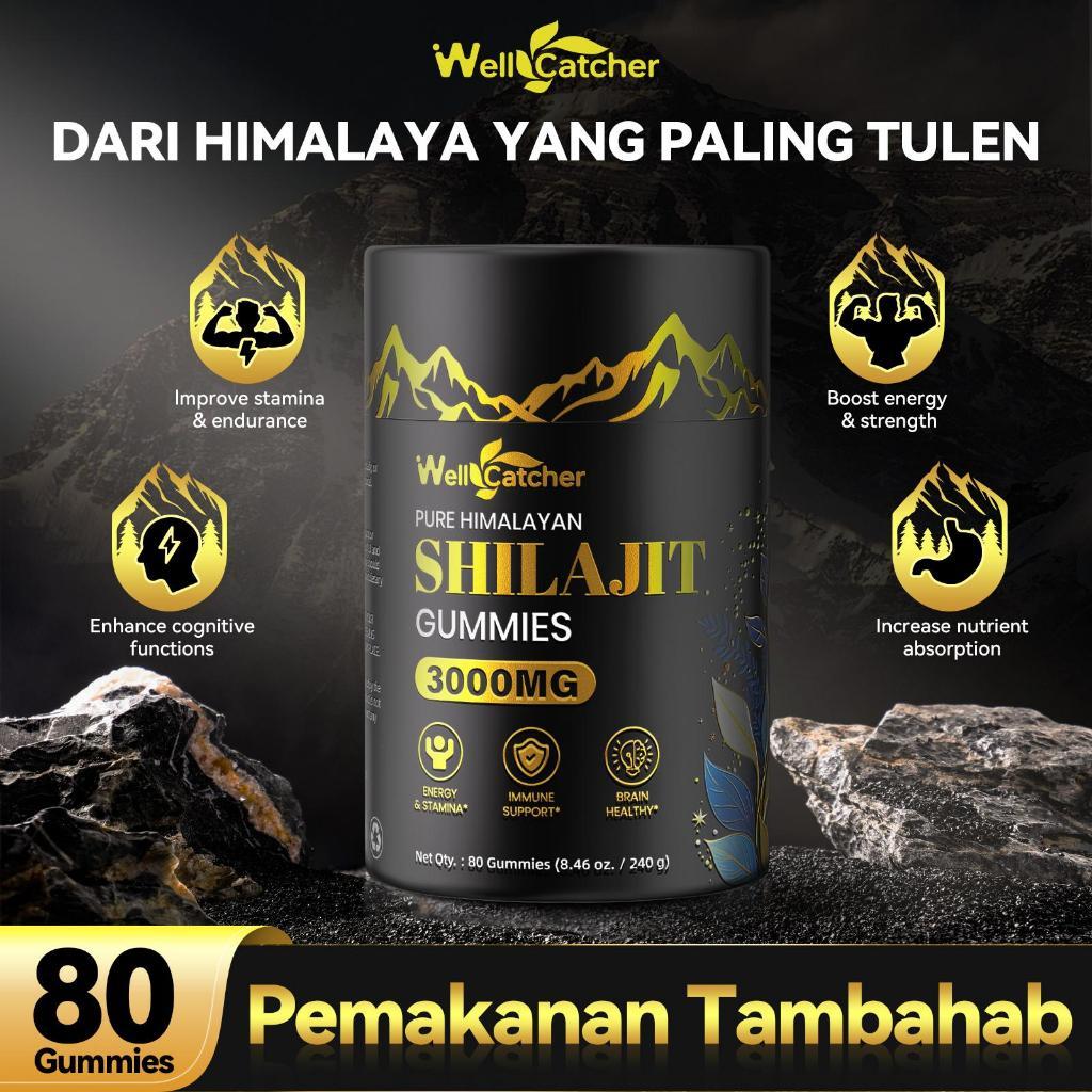 【24H】Wellcatcher Shilajit ยางเรซินฮิมาลายาธรรมชาติ - ขายความงามศักยภาพสูงสำหรับอาหารเสริมสุขภาพอินทรีย์