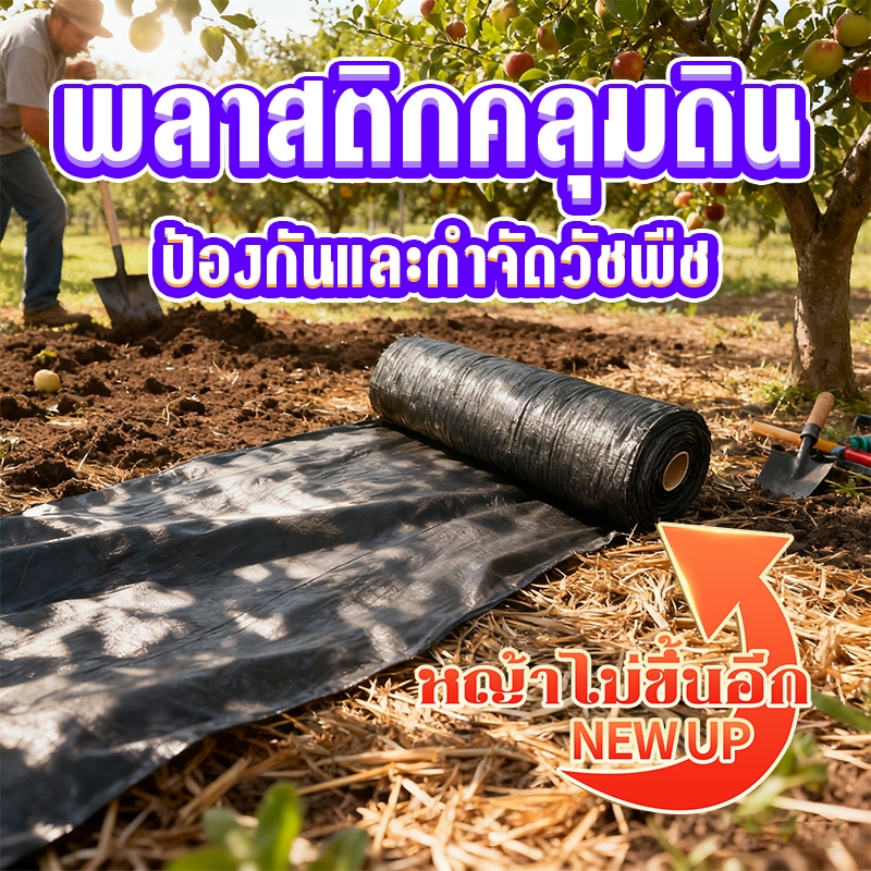 พลาสติกคลุมดิน ผ้าคลุมดิน ผ้าคลุมหญ้า ฆ่าหญ้า กำจัดวัชพืช ผสม UV พลาสติกเกรดส่งออก กําจัดหญ้า 2x100 3x50 3x100