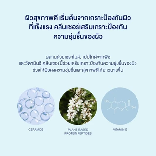 [ New ] SKIN1004 Madagascar Centella Hyalu-Cica Gentle Cleansing Milk 200 ml