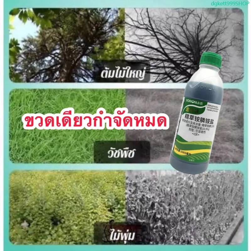 [COD] 100ml ยาฆ่าหญ้า สูตรเข้มข้น กำจัดวัชพืชร้าย รากตายเรียบ ใช้ได้ในสวน ไร่ แปลงผัก เห็นผลไว ใช้ง่าย ไม่ฟุ้งกระจาย
