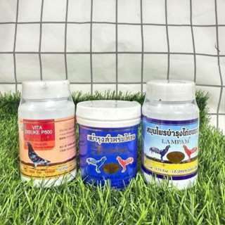 ผลิตภัณฑ์อาหารเสริมไก่P500+โสมจันทรา+ไก่พม่า