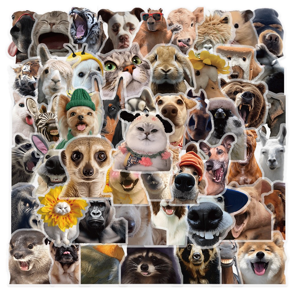 [พร้อมส่ง] 50 ชิ้น PET สติกเกอร์ DIY ขอบใส ลายหน้า หมา แมว กอริลลา สัตว์ตลก ขำๆ มีม Cute Funny Meme Animal Stickerกันน้ำ