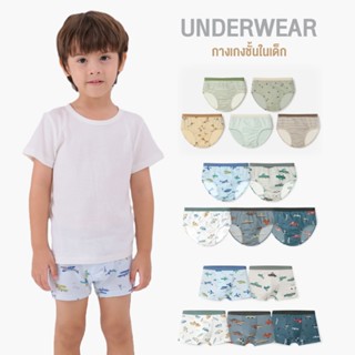 กางเกงในเด็กผู้ชาย 3-16 ปี 2025 Cotton