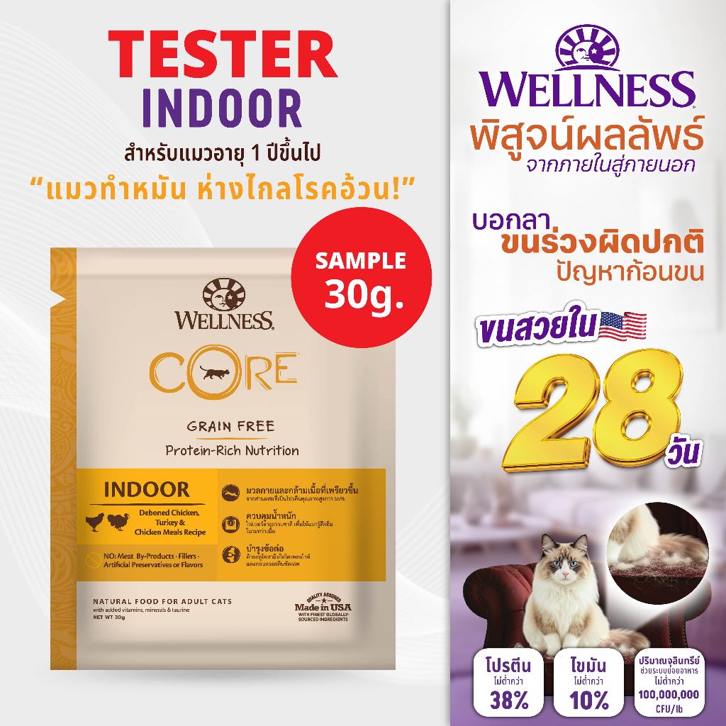 SAMPLE อาหารแมว WELLNESS CORE: Indoor  (30g)