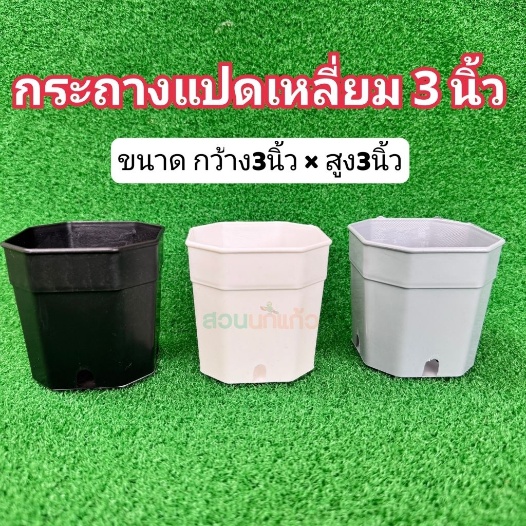 กระถางแคคตัส กระบองเพชร กระถางแปดเหลี่ยม 3 นิ้ว
