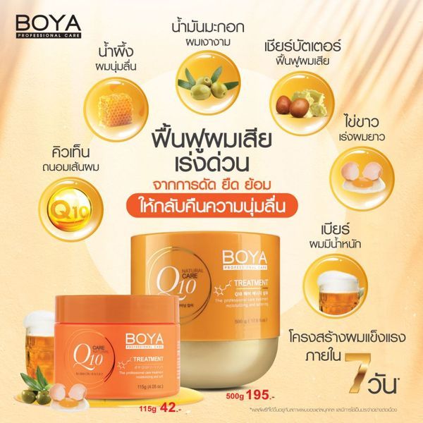 ทรีทเม้นท์ โบย่า คิวเท็น BOYA Q10 Treatment for Hair 500g. - รูปที่ 3