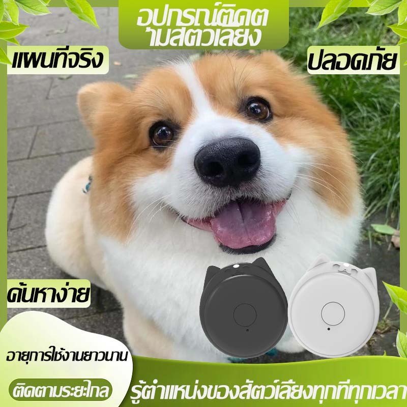 ตำแหน่งแม่นยำ อุปกรณ์ติดตามสัตว์เลี้ยง GPS ขั้นสูง ติดตามสัตว์เลี้ยง เรียลไทม์ ปลอดภัย  อุปกรณ์ระบุตำแหน่งสัตว์เลี้ยง