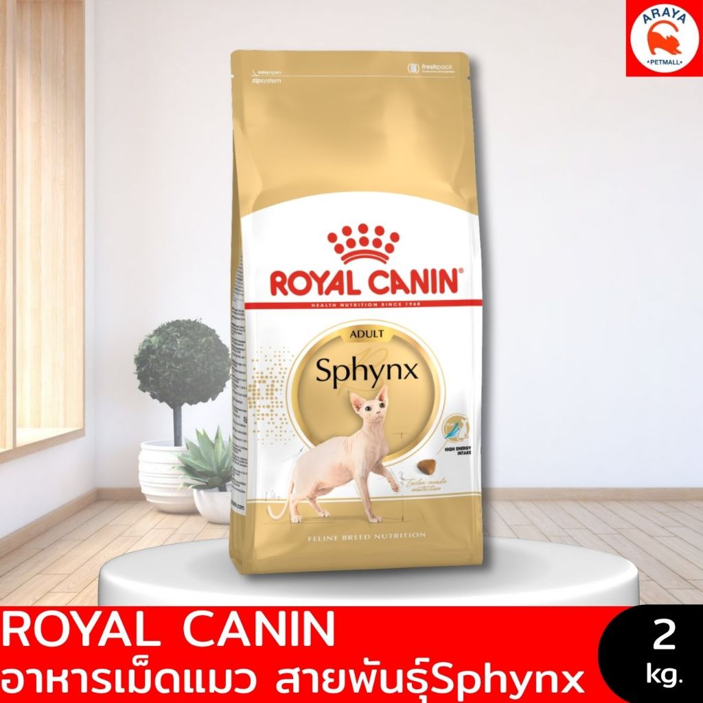 *2Kg.*Royal canin Sphynx Adult Cat food อาหารเม็ดแมวสำหรับสายพันธุ์ สฟริงค์