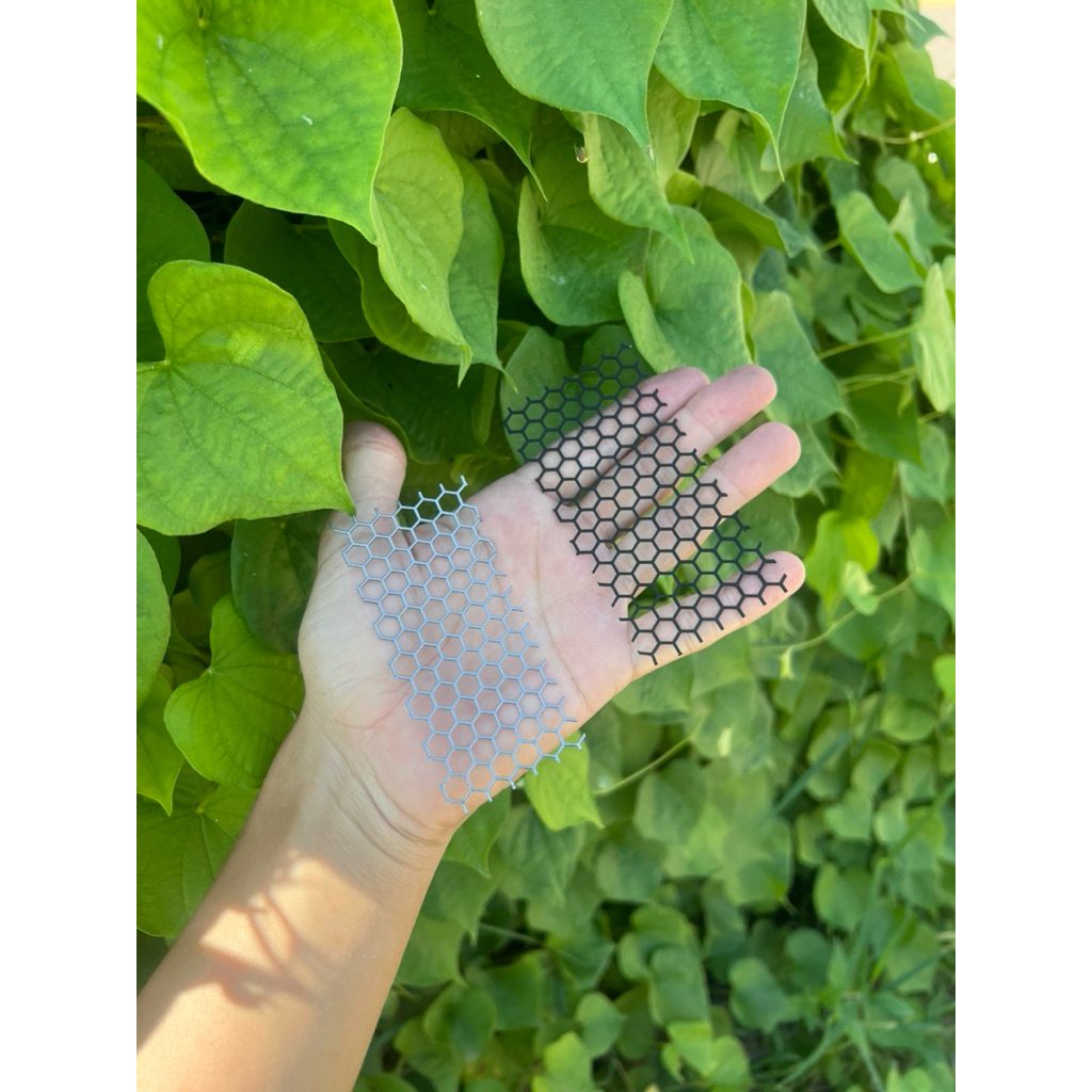 รูปภาพ 2