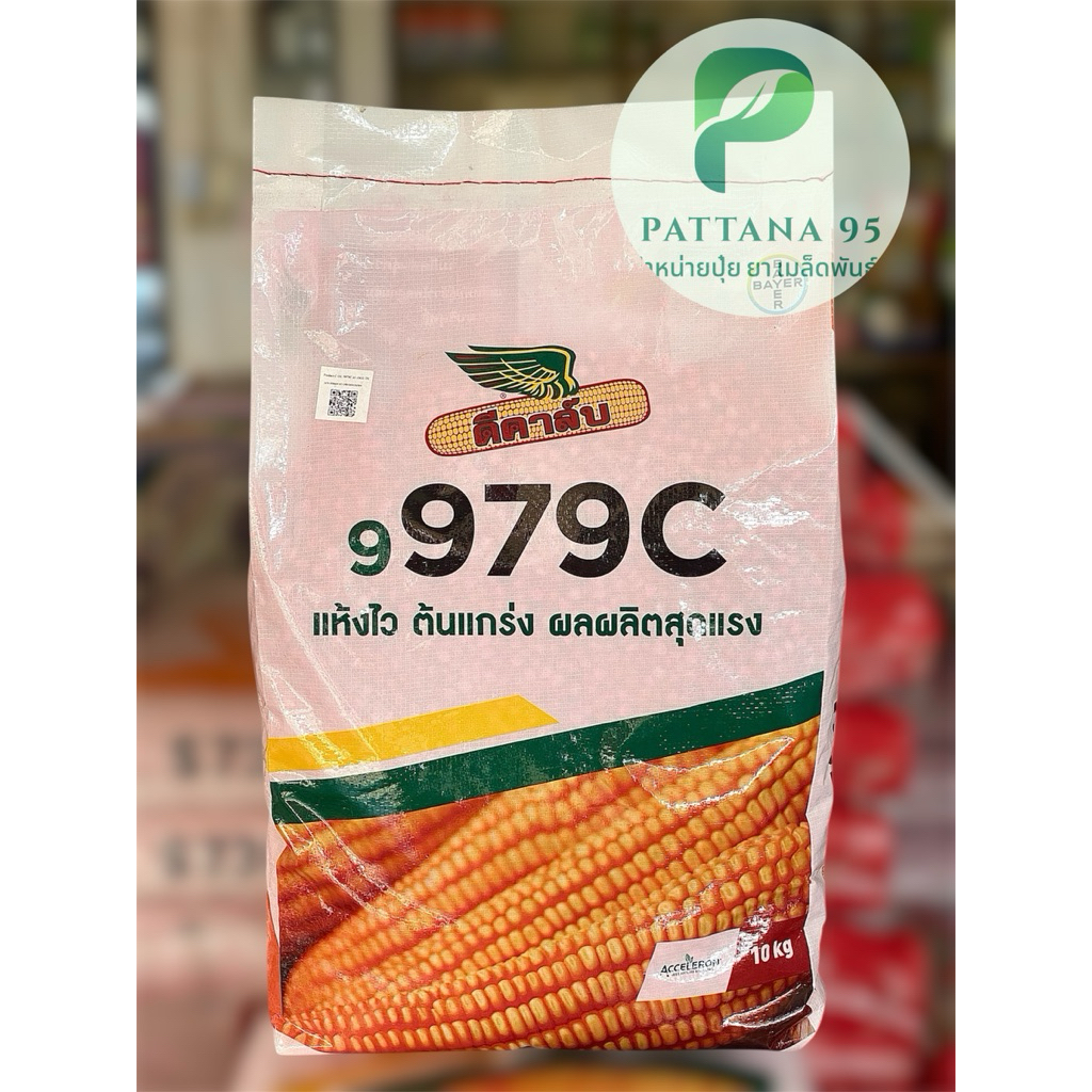 เมล็ดพันธุ์ข้าวโพด ดีคาล์บ 9979C (3 หุน,3.5 หุน) *ขนาด 10 กก. แห้งไว ต้นแกร่ง ผลผลิตสูง เหมาะเก็บเกี