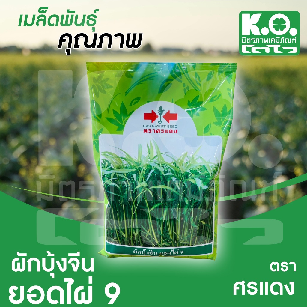 เมล็ดพันธุ์ผักบุ้งจีน ยอดไผ่ 9 ตราศรแดง  1 กิโลกรัม