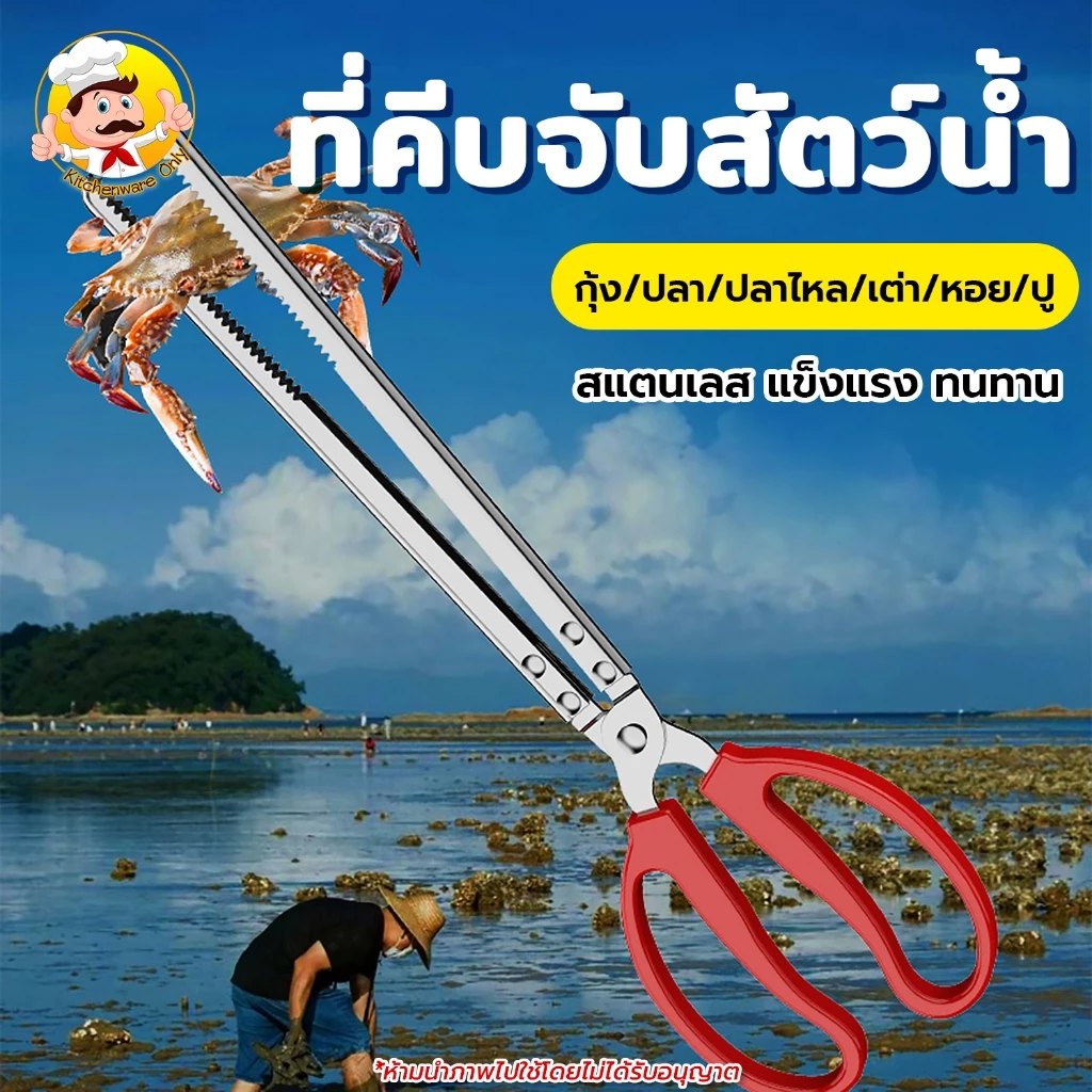ที่คีบสแตนเลส คีบสัตว์น้ำ/คีบหอย/ปู/ปลา ที่คีบก้านยาว ที่คีบปลาไหล