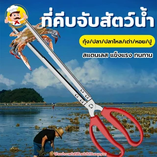 ที่คีบสแตนเลส คีบสัตว์น้ำ/คีบหอย/ปู/ปลา ที่คีบก้านยาว ที่คีบปลาไหล