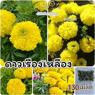 [​ซื้อ 5 แถม 5 ฟรี]เมล็ดพันธุ์​ดอกไม้ นานาชนิด เมล็ดเยอะราคาถูก เหมาะสำหรับบ้านและสวนขนาดเล็ก