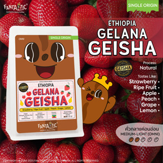 เมล็ดกาแฟ Ethiopia Gelana Geisha (คั่วกลางอ่อน) FANTASTIC Be…