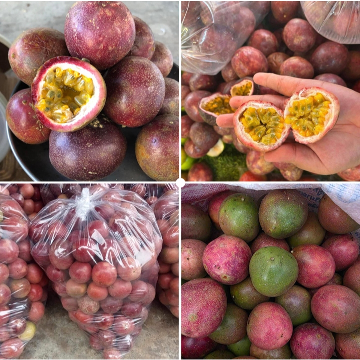 【1กิโล】เสาวรสไทนุง ใช้ทำน้ำ ⚠️ ไม่เน้นผิว พร้อมส่ง