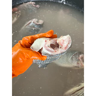ปลาร้าปลานิล (สูตรข้าวคั่ว )เป็นปลาข้าวคั่วสูตรไม่เค็มมาก ปลาร้าข้าวคั่วแม่ผัน ไม่มีสารกันบูด สูตรดังจากประจันตคาม