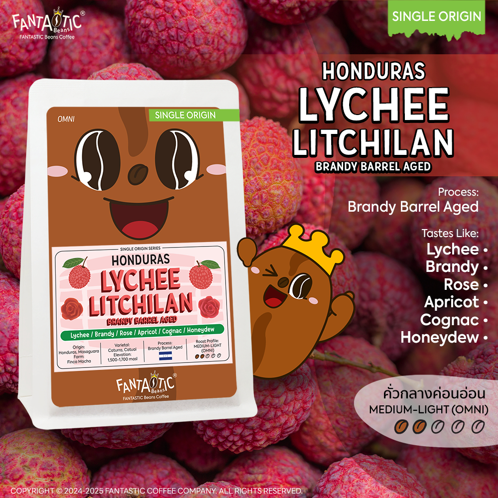 เมล็ดกาแฟ Honduras Lychee Litchilan Brandy Barrel Aged (คั่วกลางอ่อน) FANTASTIC Beans Coffee