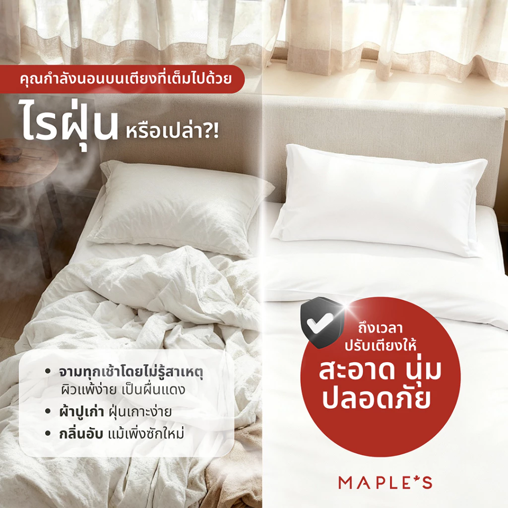 MAPLE S ผ้าปูที่นอนรัดมุม รุ่น Solid/Jacquard กันไรฝุ่น สูง 6-10 นิ้ว thumbnail 6